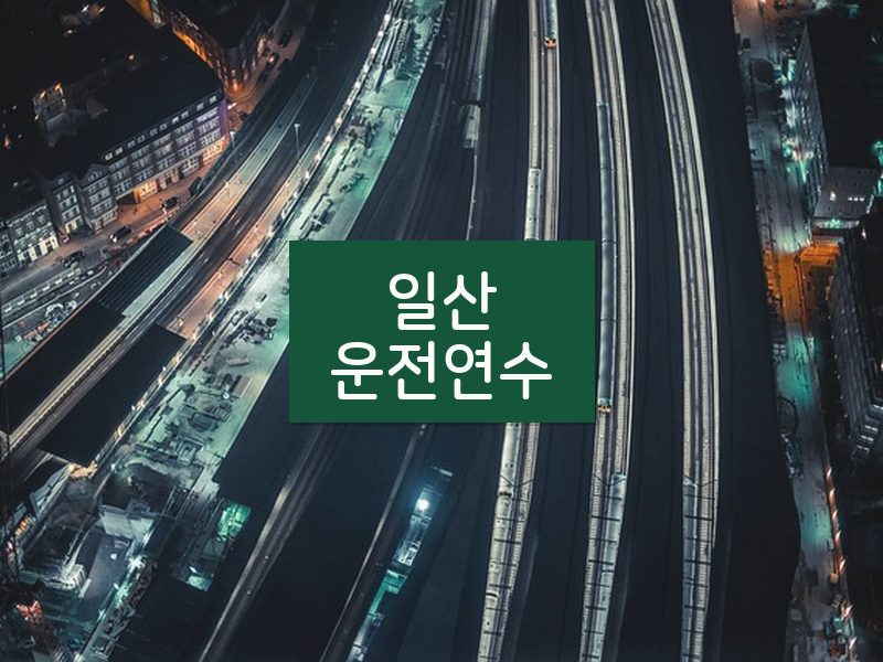 일산운전연수 후기