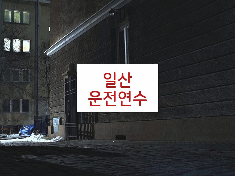 일산운전연수 후기