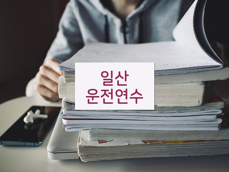 일산운전연수 후기