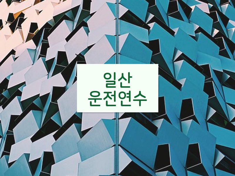 일산운전연수 후기
