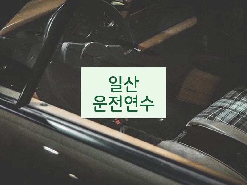 일산운전연수 후기