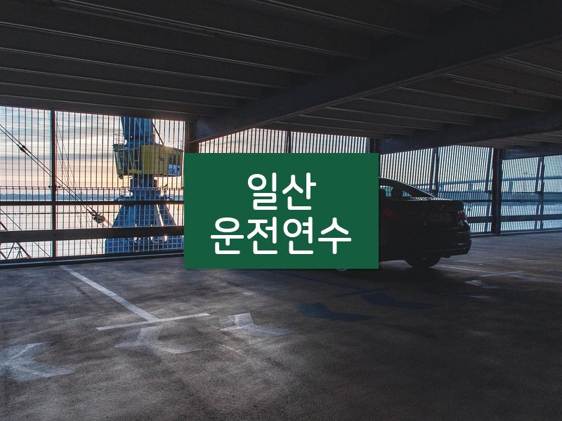 일산운전연수 후기