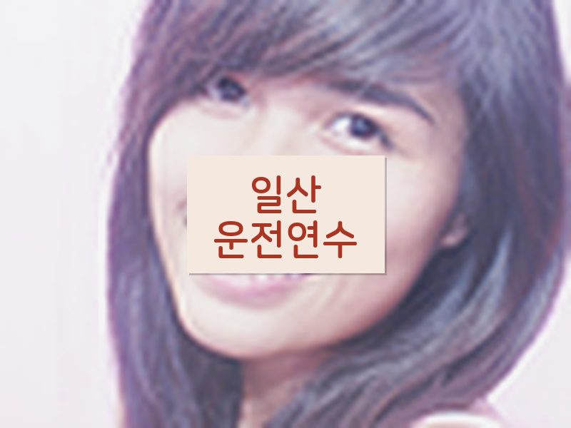 일산운전연수 후기