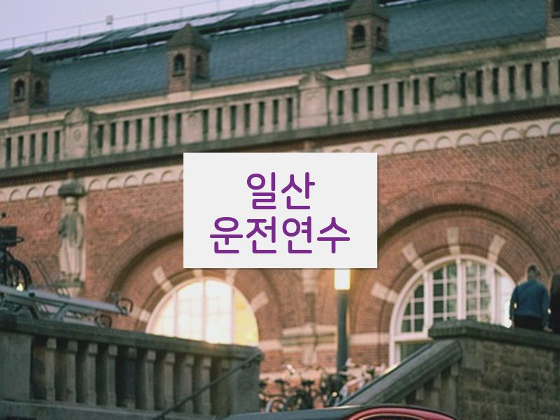 일산운전연수 후기