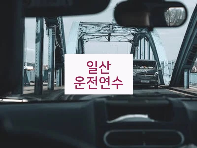 일산운전연수 후기