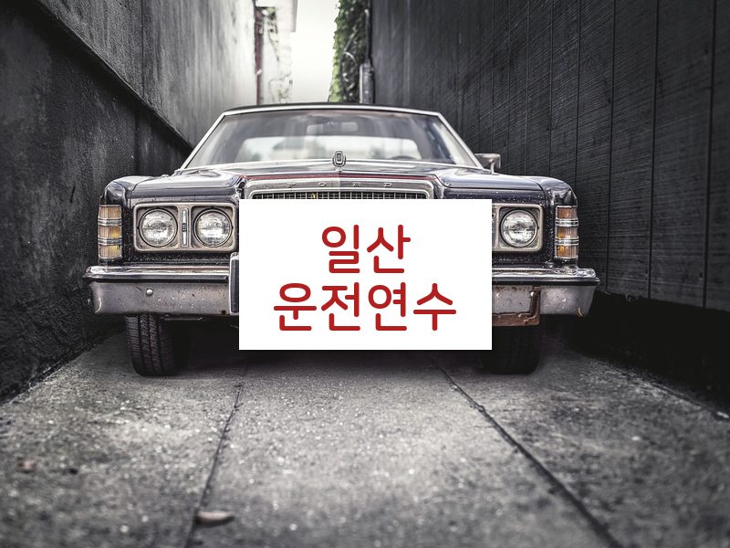 일산운전연수 후기