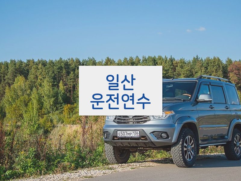 일산운전연수 후기