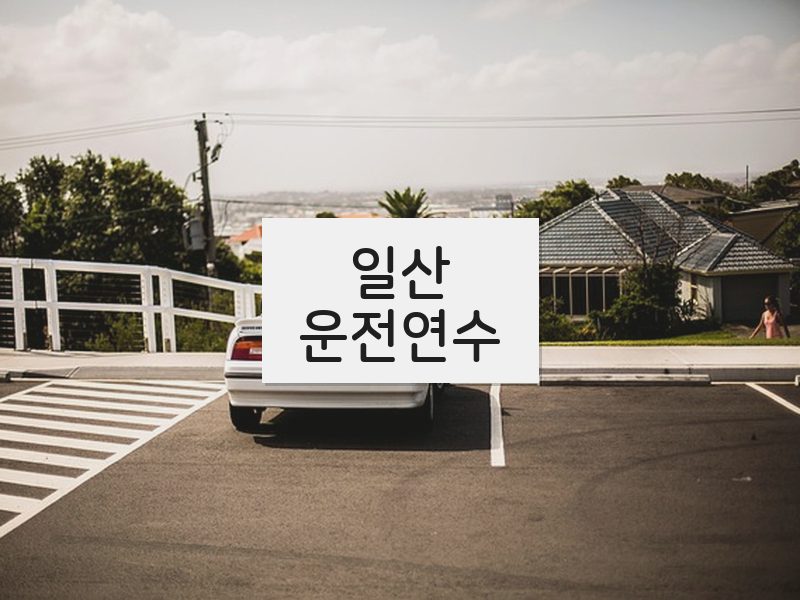 일산운전연수 후기