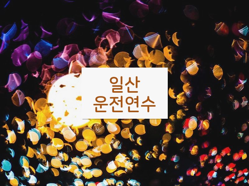 일산운전연수 후기