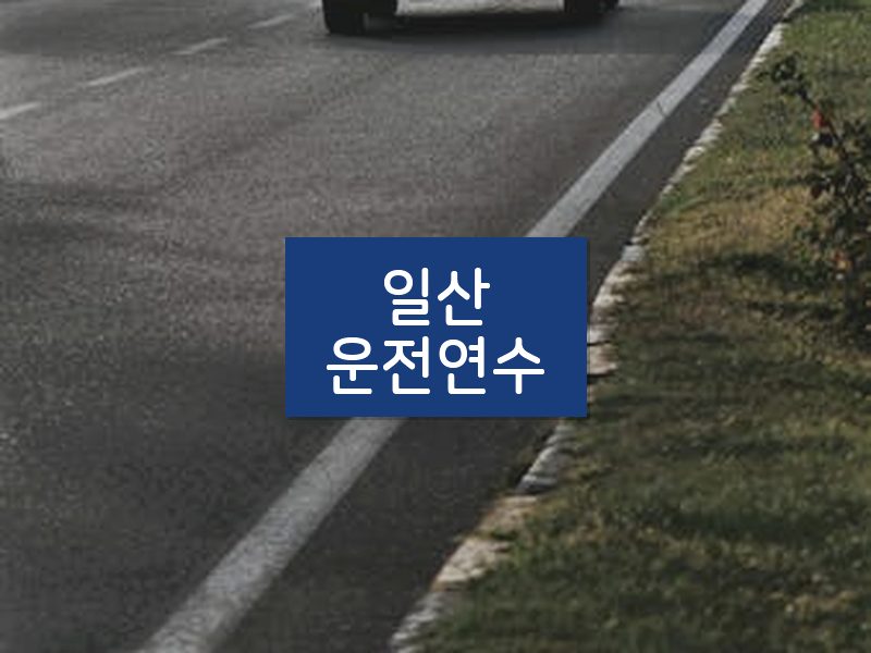 일산운전연수 후기