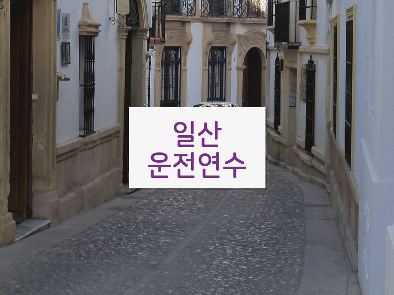 일산운전연수 후기