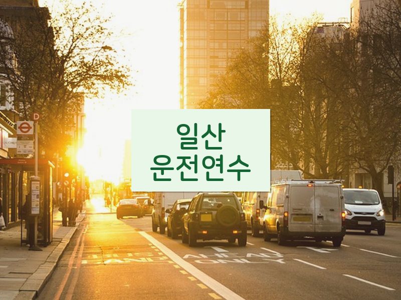 일산운전연수 후기