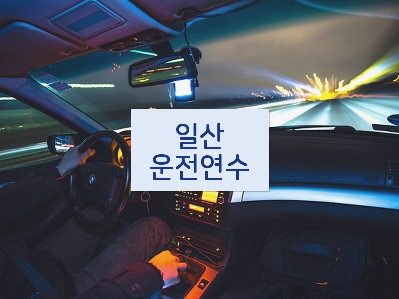 일산운전연수 후기