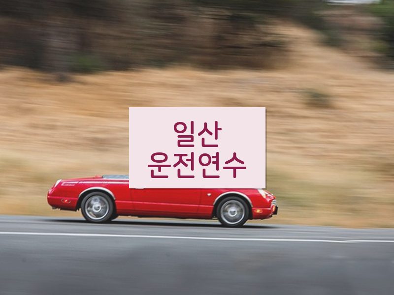 일산운전연수 후기