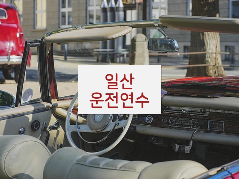 일산운전연수 후기