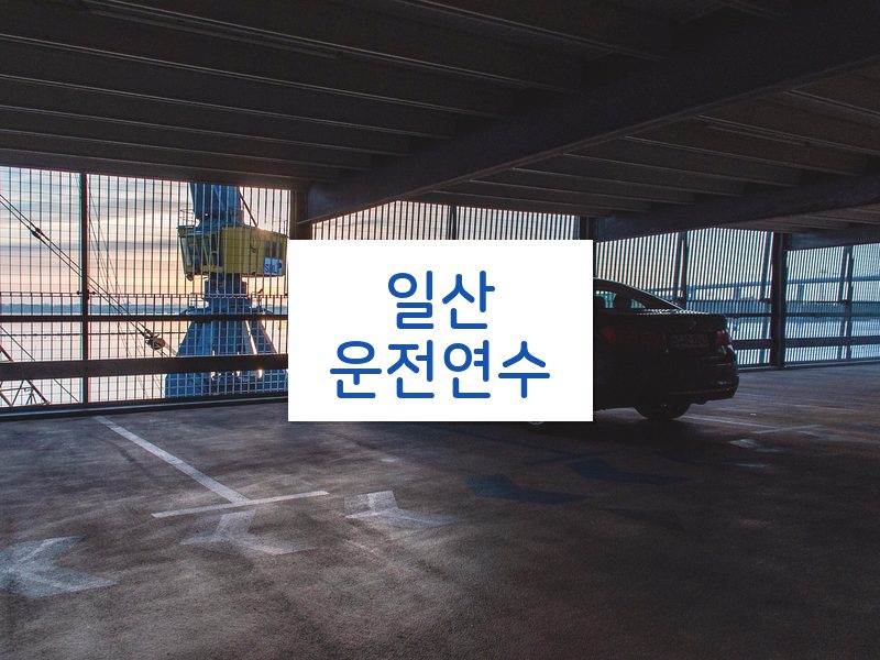 일산운전연수 후기