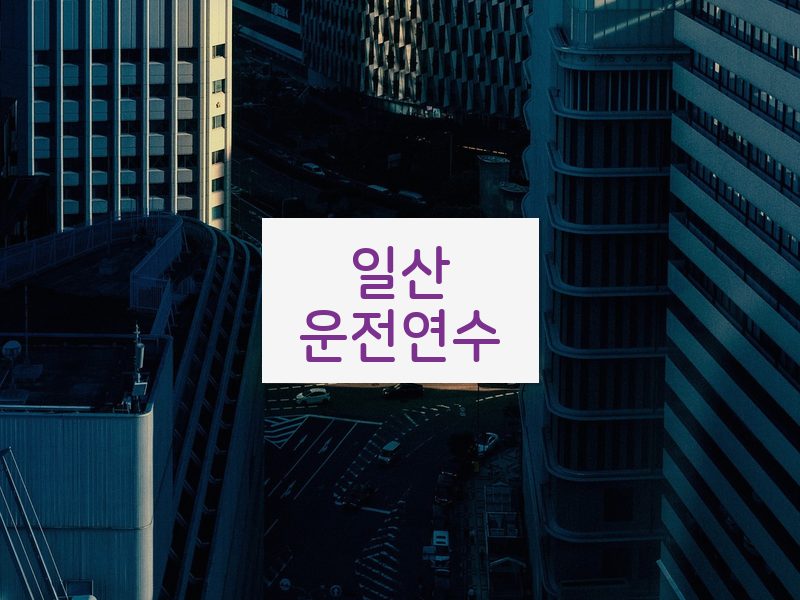 일산운전연수 후기