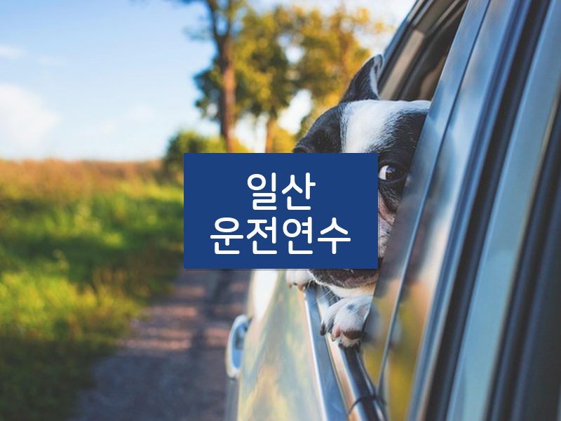 일산운전연수 후기
