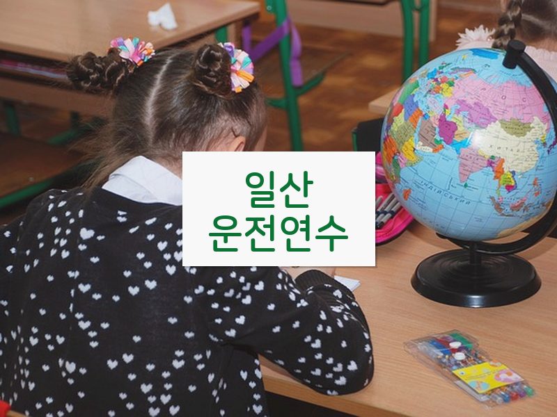 일산운전연수 후기