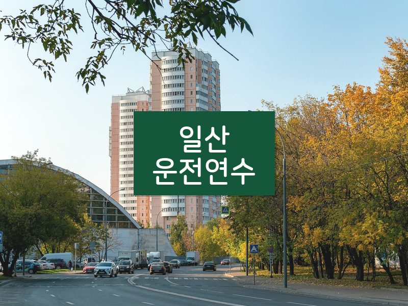 일산운전연수 후기