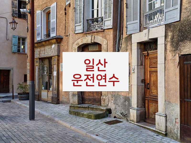 일산운전연수 후기