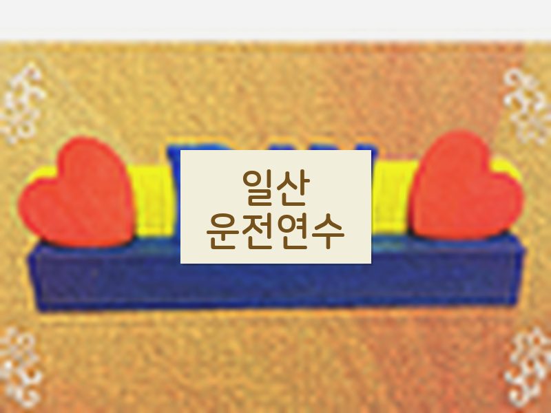 일산운전연수 후기