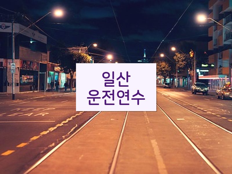 일산운전연수 후기