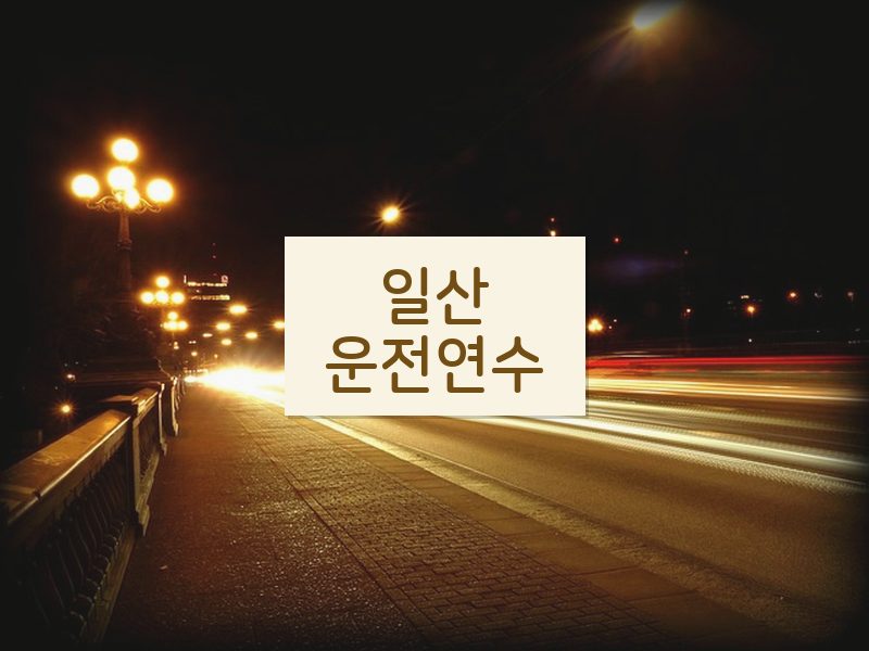 일산운전연수 후기