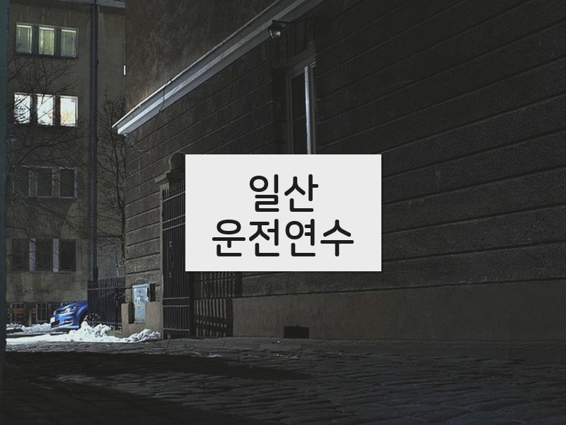 일산운전연수 후기