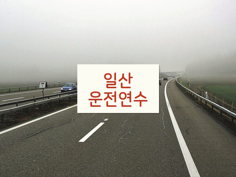 일산운전연수 후기