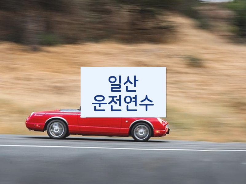 일산운전연수 후기