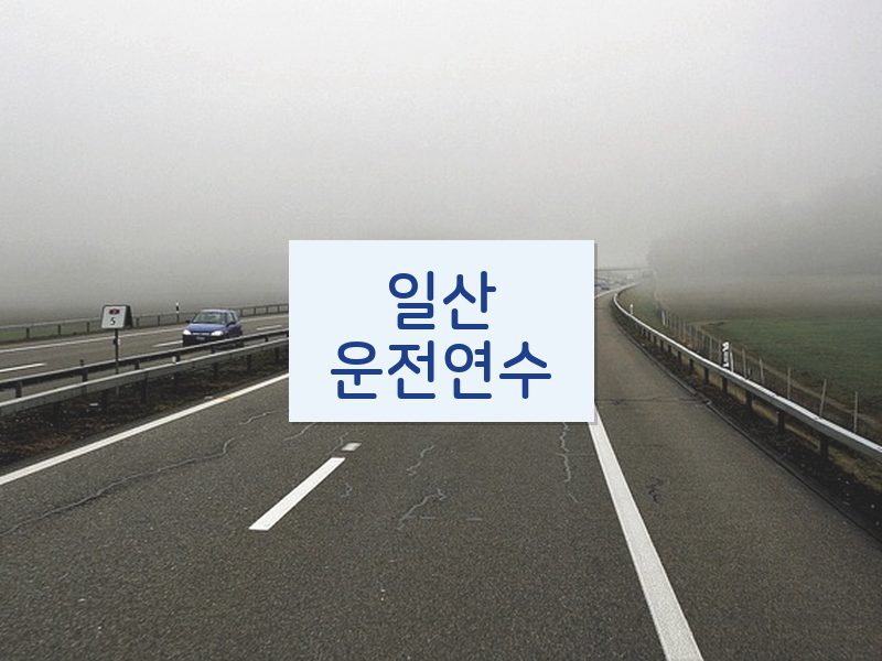 일산운전연수 후기
