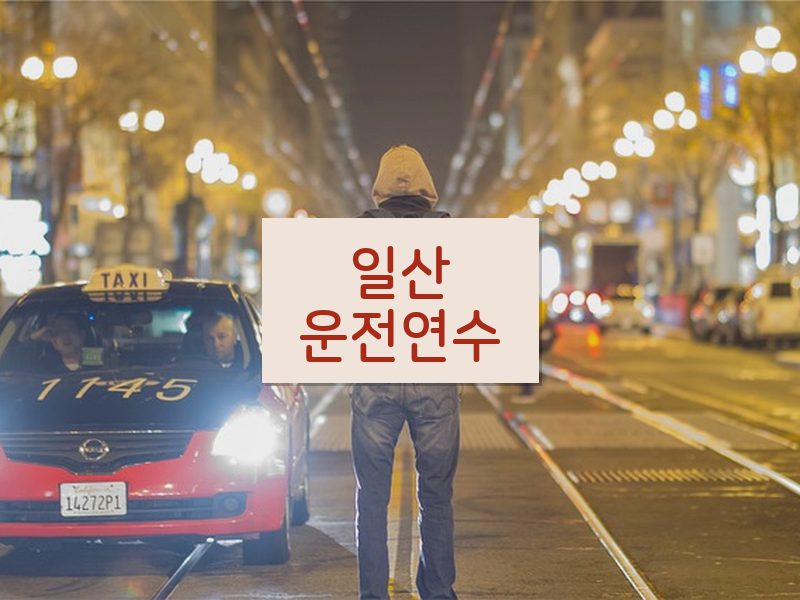 일산운전연수 후기