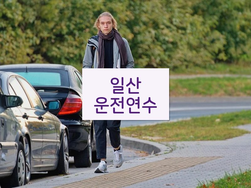일산운전연수 후기