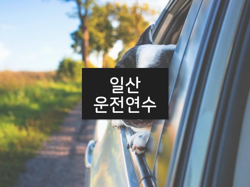 일산운전연수 후기