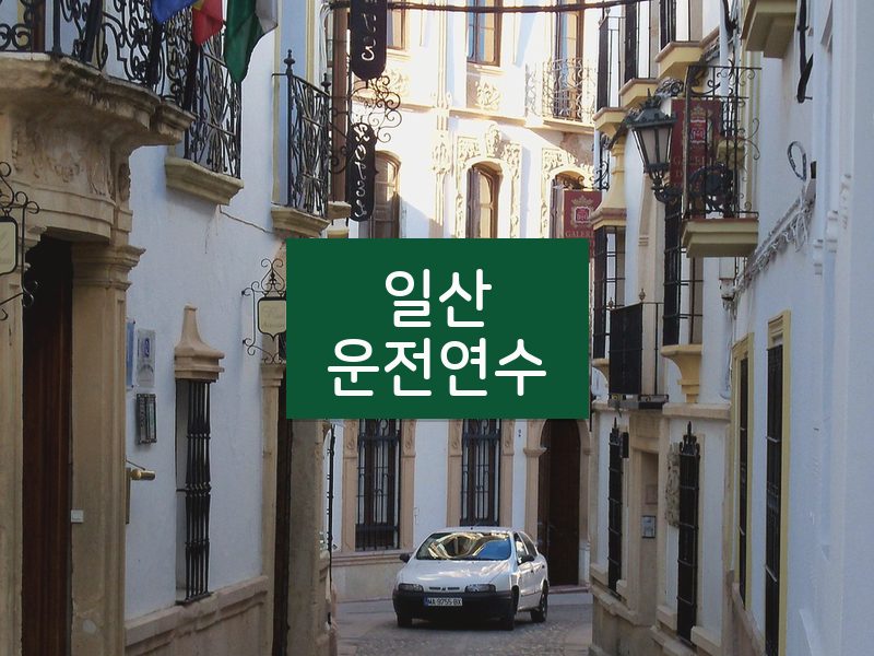 일산운전연수 후기
