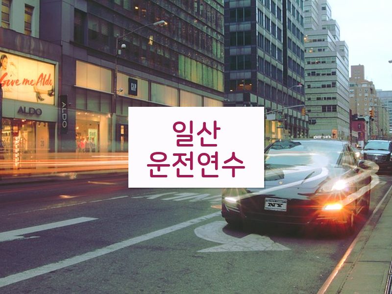 일산운전연수 후기