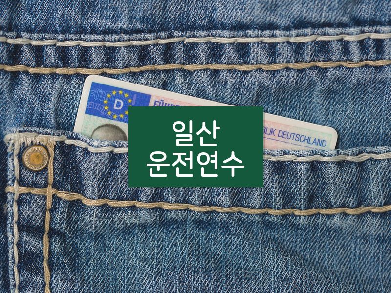 일산운전연수 후기