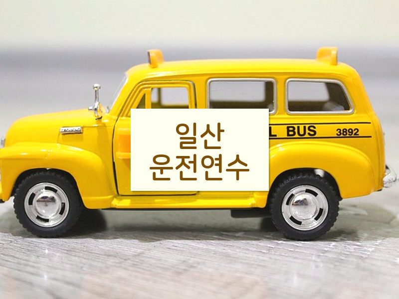 일산운전연수 후기