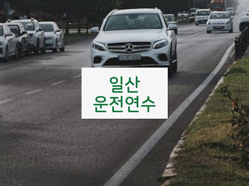 일산운전연수 후기