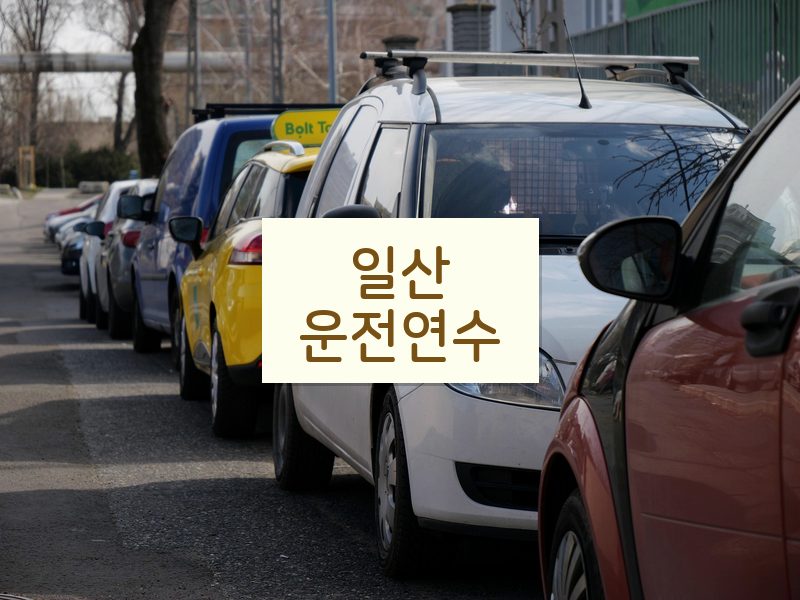 일산운전연수 후기