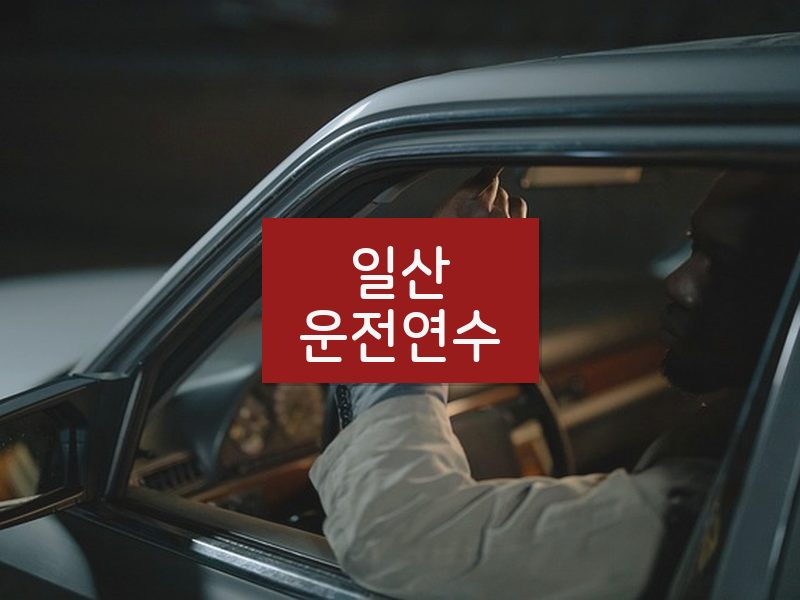 일산운전연수 후기
