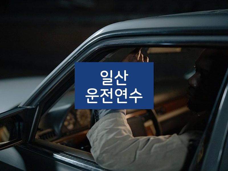 일산운전연수 후기