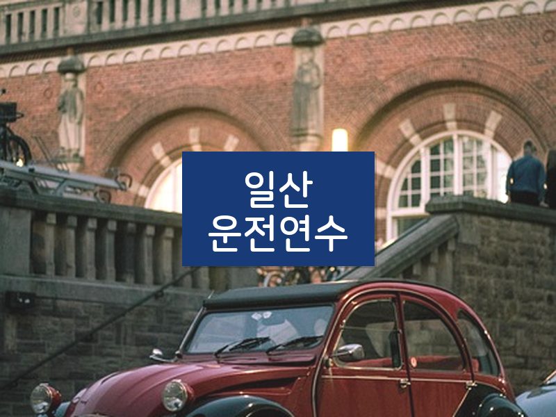 일산운전연수 후기