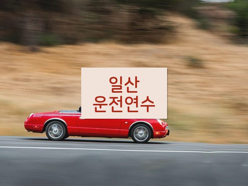 일산운전연수 후기