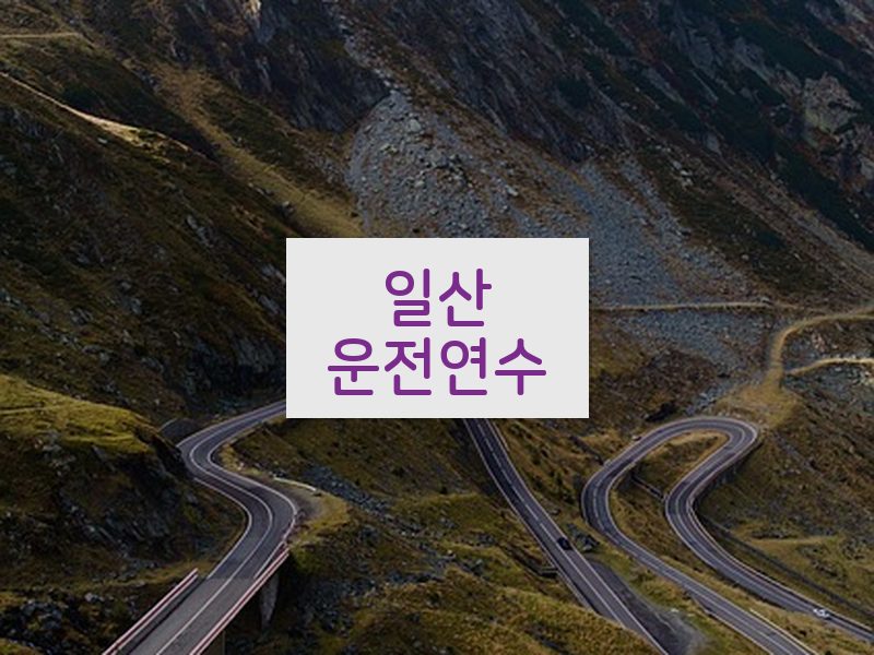 일산운전연수 후기