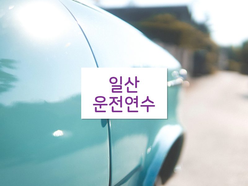 일산운전연수 후기