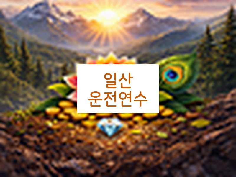 일산운전연수 후기