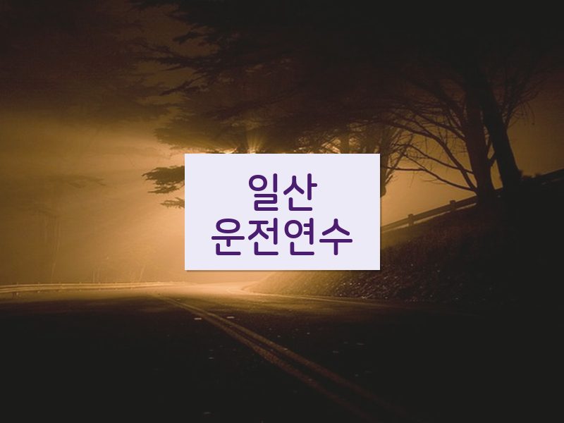 일산운전연수 후기