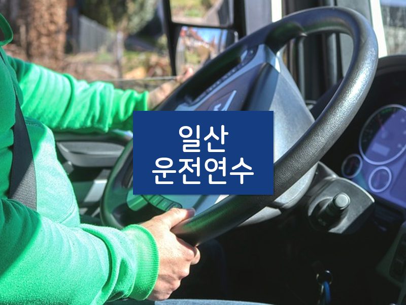일산운전연수 후기